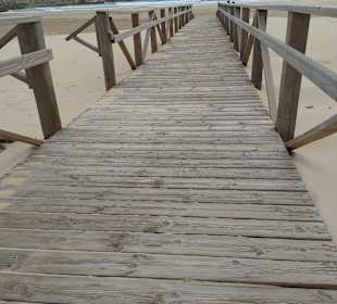 Zugang zu den Dünen