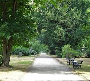 Spaziergang über den Golzheimer Friedhof
