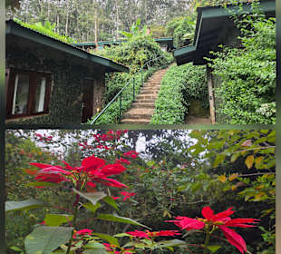 Endoro Lodge