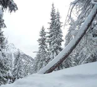 Neben der Skipiste auf dem Kronplatz