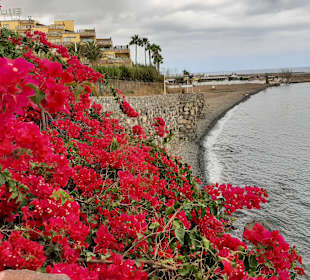 Strand San Agustín
