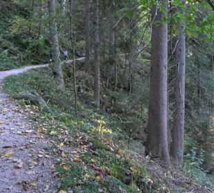 Triberger Wasserfälle