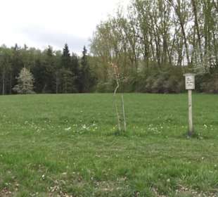 Lehrpfad Bäume des Jahres