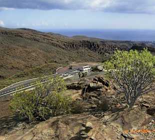 Blick zur Bushaltestelle