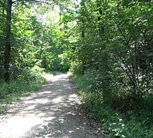 Rundwanderung Klingenbachtal - Sulzbachsee