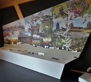 Exponate im Wattenmeer Besucherzentrum