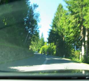 Beginn vom Plöckenpass