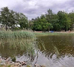 Seewoog in Ramstein-Miesenbach