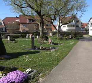 Friedhof