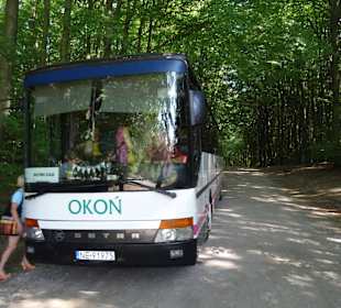 Bus für die Rückfahrt nach Elblag