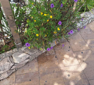 Stadtrundgang Playa del Ingles