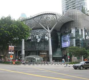 Blick auf die Orchad Road