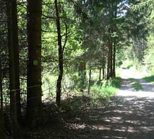 Premiumwanderweg Hochgehschätzt