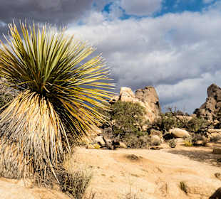 Hidden Valley Trail am späten Nachmittag