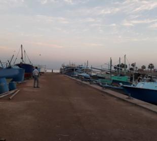 Hafen 