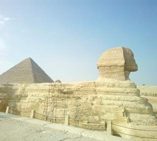 Sphinx von Gizeh