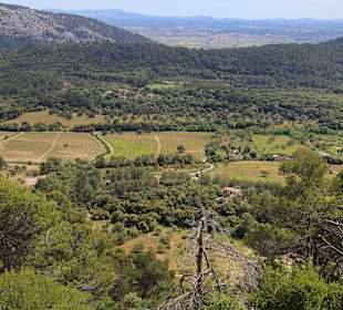Wandern Pollença / Pollensa