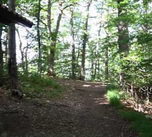 Premiumwanderweg "hochgelegen"