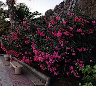 Strandpromenade Jandia/Playa de Jandia