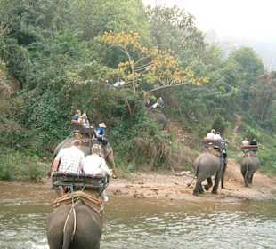 Elefantenritt durch den Dschungel