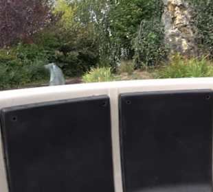 Erlebnispark Tripsdrill