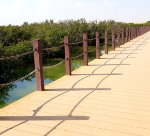 Al Thakira Mangroves