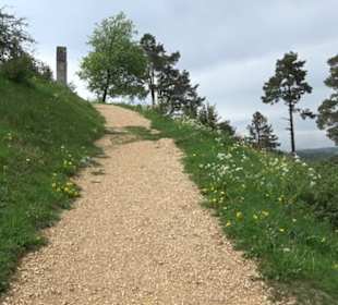 Berg Kornbühl Salmendingen