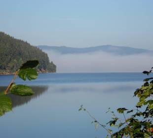 Umgebung - Schluchsee