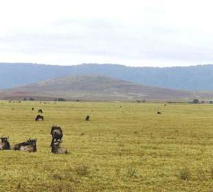 Ngorongoro Krater