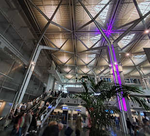 Flughafen Basel Mülhausen Freiburg (EAP)