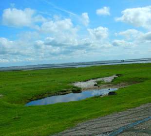 Landschaft am Teerdeich