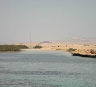 Bootsausflug Mangroven