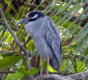 Relax Day Tour mit Federico. Eine kleine Auswahl