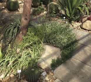 Botanischer Garten