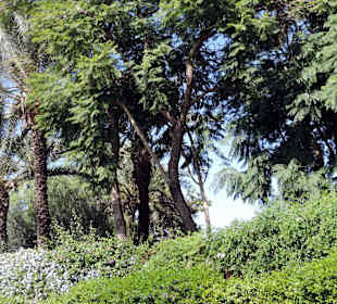 Wycieczka autobusem turystycznym po Marrakeszu