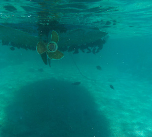 Rotes Meer/Red Sea - Hurghada