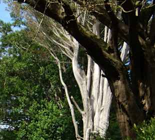 Herrlicher Park 