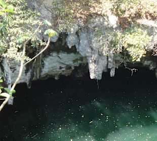 Eine Cenote von der Erdoberfläche gesehen