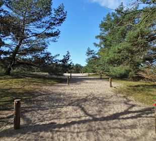 Zugang zu den Verdener Dünen