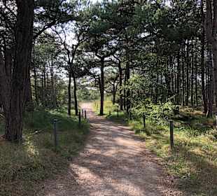 Wandern St. Peter-Ording