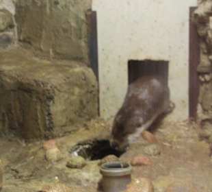 Zoo