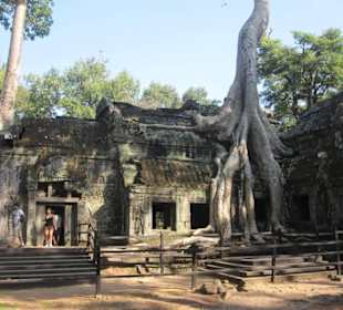 Świątynie angkor wat