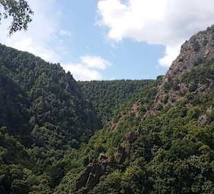 Wandern Thale