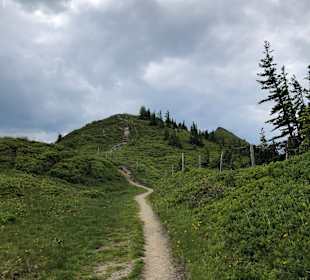 Wandern Großarl