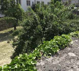 Deutschordensschloss