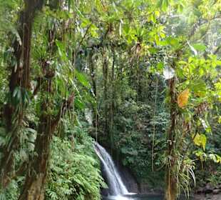 Bei den Wasserfällen