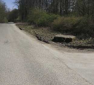 Grillstelle am Markwasen 