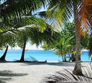 Insel Saona