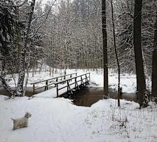 Winterpracht 2013 zum See