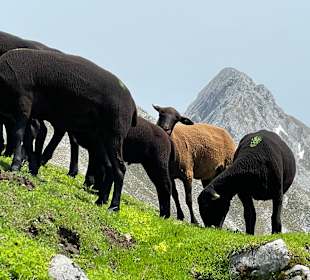 Innsbrucker Nordkettenbahnen